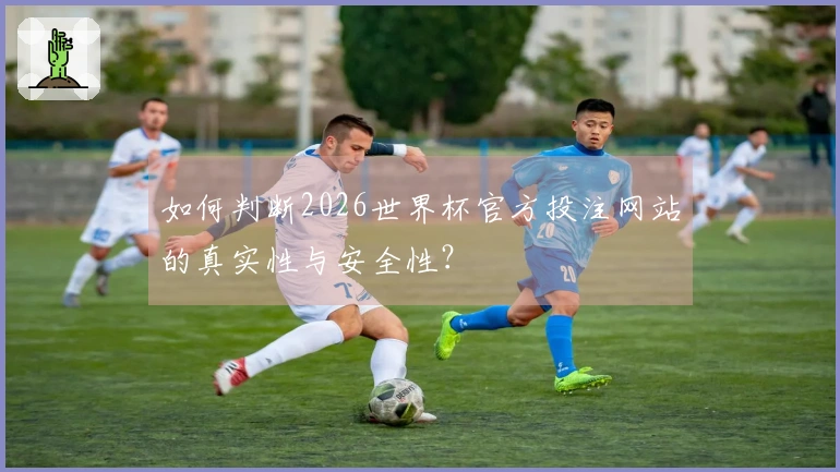 如何判断2026世界杯官方投注网站的真实性与安全性？