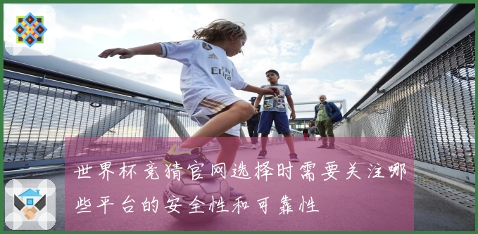 世界杯竞猜官网选择时需要关注哪些平台的安全性和可靠性