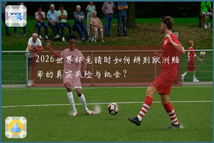 2026世界杯竞猜时如何辨别欧洲赔率的真实风险与机会？