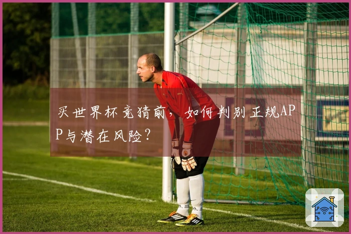 买世界杯竞猜前，如何判别正规APP与潜在风险？